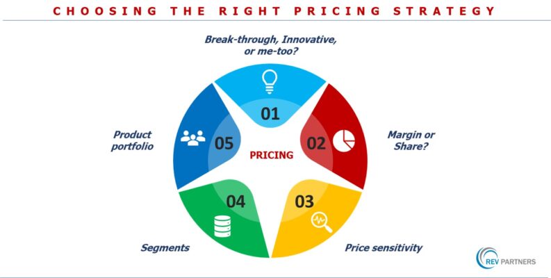 Pricing Strategy Questions | Harness the Power of Pricing | REV Partners